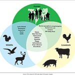 220px-Figure_3-_Examples_of_Zoonotic_Diseases_and_Their_Affected_Populations_(6323431516)