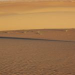 dune del deserto